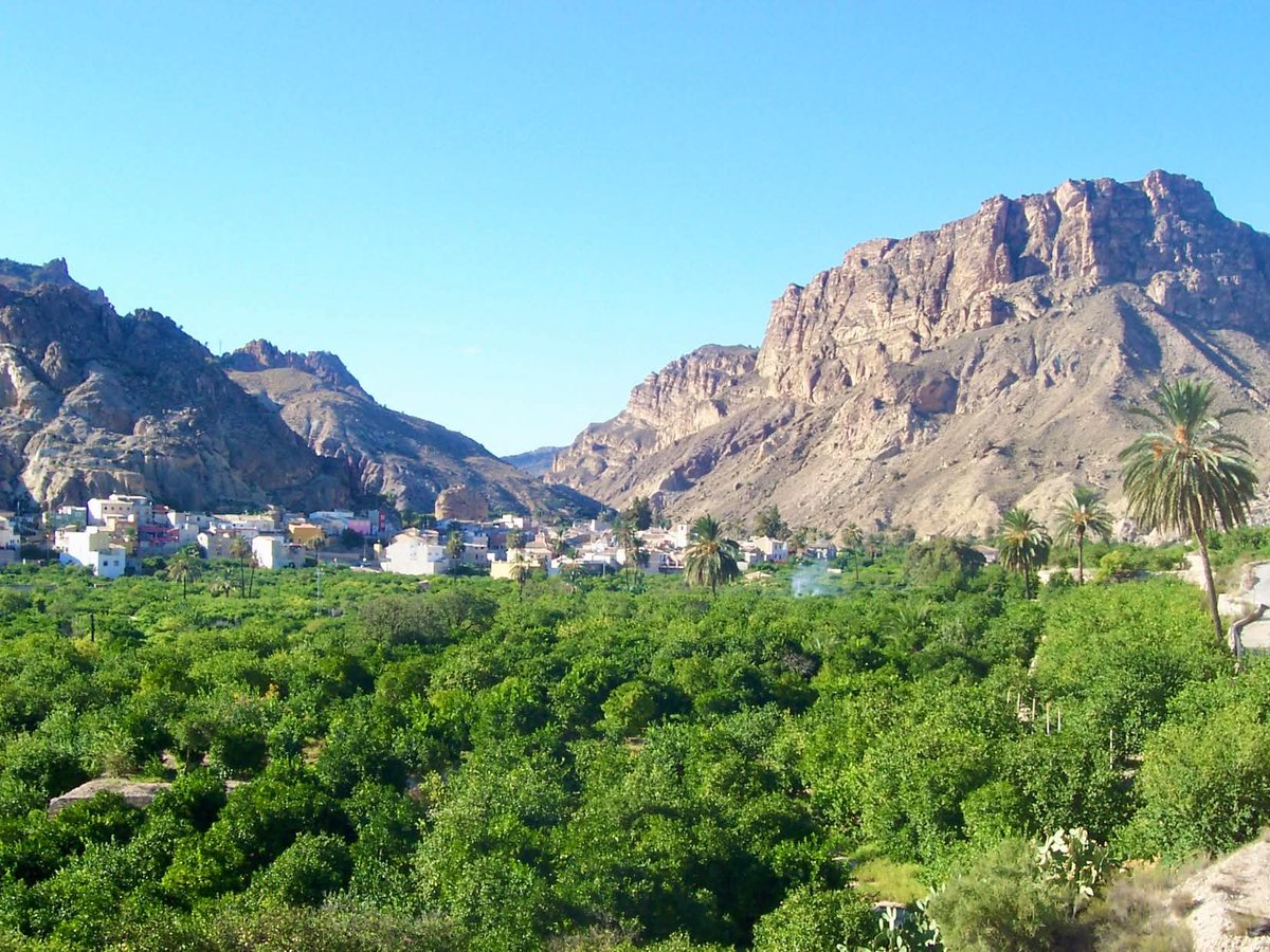 laCarraila's tweet photo. La Asamblea Regional de Murcia impulsará la declaración del Valle de Ricote como Bien de Interés Cultural y su candidatura a Patrimonio de la Humanidad.

PARA SABER MÁS
https://t.co/SumrBE5mNW

#valledericote https://t.co/47uyotVysT