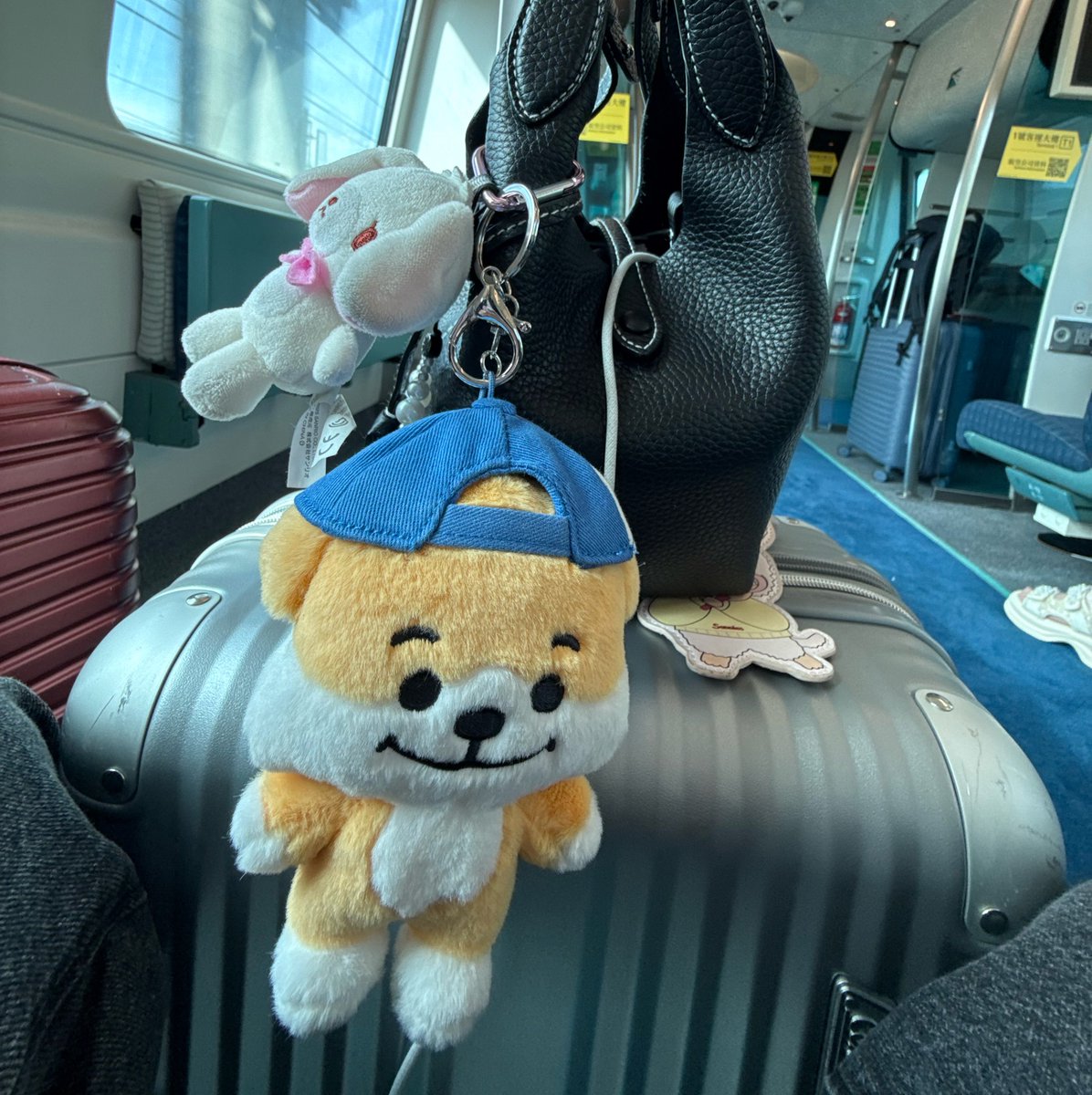 jaeyunliker's tweet photo. the small one in question https://t.co/15xZMLen89