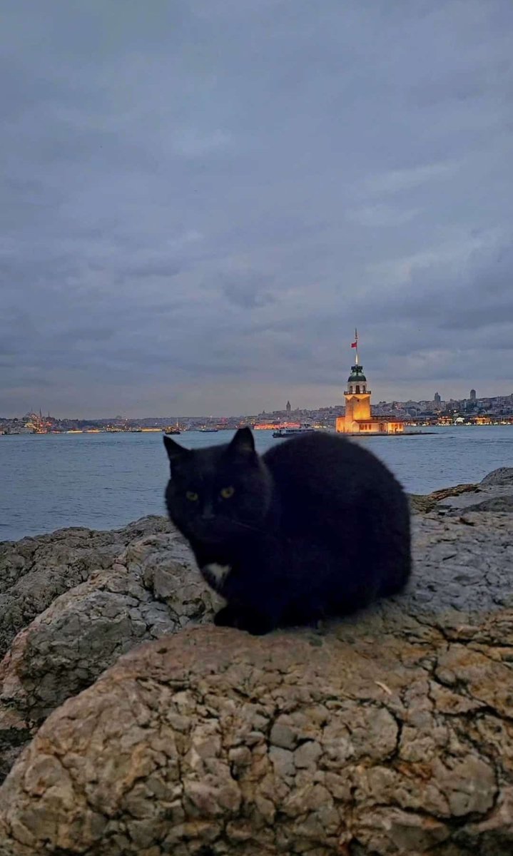beyefendi_den's tweet photo. Hayat başkalarının ne düşündüğiyle değil,senin ne hissettiğinle güzelleşir.Unutma olur mu?Bir de şu hep "ben ben ben"diyenler yok mu?Kendini dev aynasında goren küçücükler.Hiç sevmiyorum bu tipleri.Herşey senin olsa ne olur ki.Kalite insan olmak çok başka bisey..✍️#iyi akşamlar # https://t.co/a5DpvzJMFS