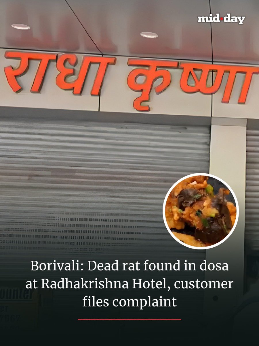 mid_day's tweet photo. A customer allegedly found a dead rat inside a Mysore masala dosa at Radhakrishna Hotel in Borivali. His brother had eaten a few bites before discovering it and reportedly vomited.

The complainant approached Borivali Police Station, while the incident has prompted calls for an FDA investigation into the eatery.