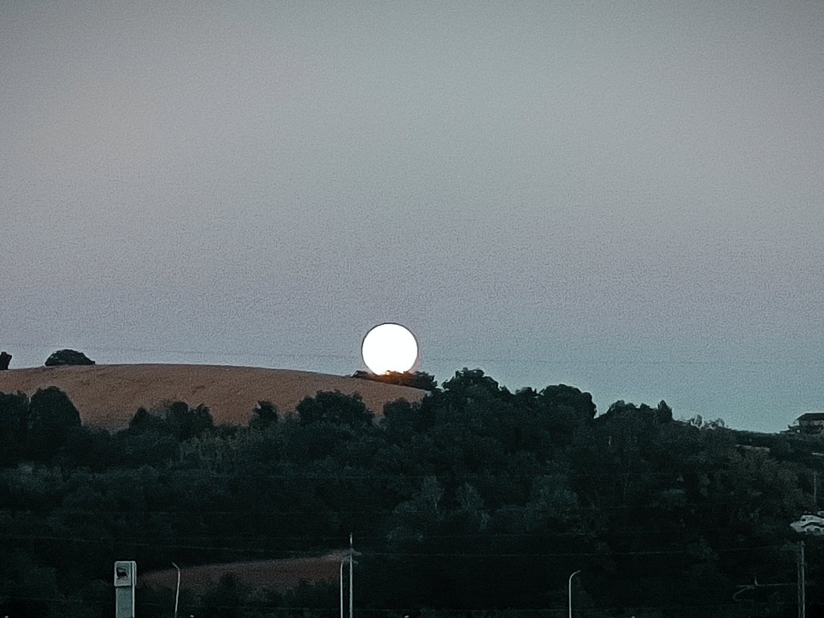 ElsaGalanti's tweet photo. #harvestmoon

📸 https://t.co/PnQtFb1Sgu