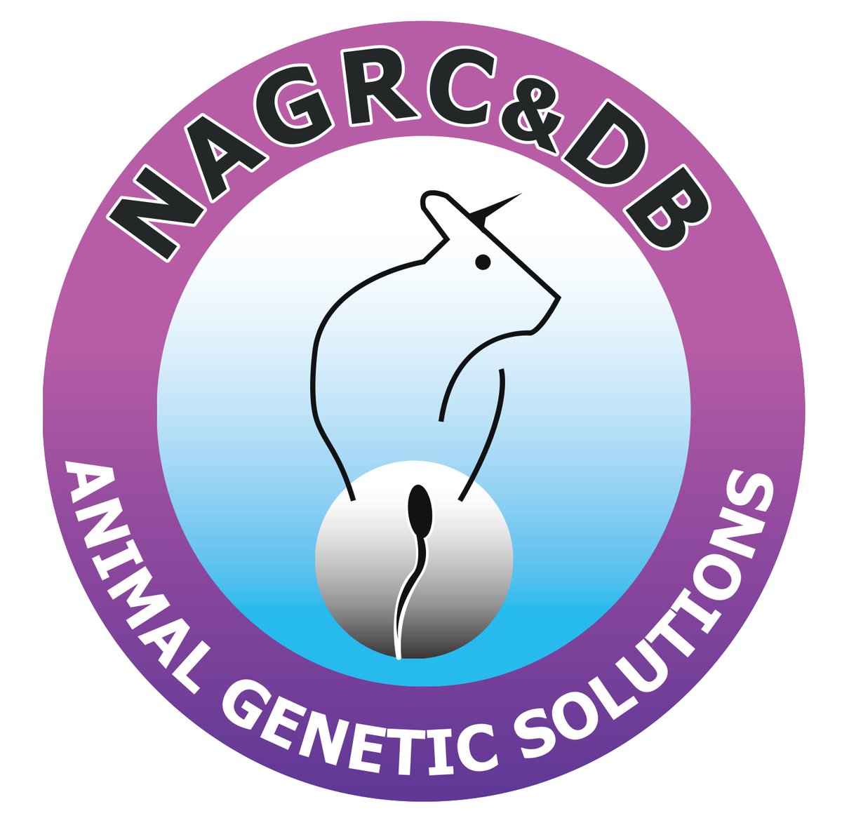 DailypressUg's tweet photo. NAGRC&amp;DB Breeds Higher-Milk-Yielding Ankole Cattle at Nshaara Ranch: https://t.co/pBIIBbLlXl https://t.co/Xen2i8xjgt