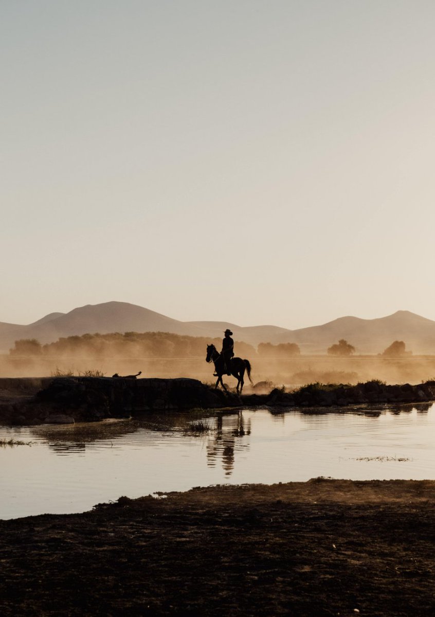 gilbe_link1_b3e's tweet photo. In the 旱 season, I sat on the 背 of an old horse, passing through 陌 roads, my gaze 视 fixed on the distant green field, hoping for rain to come soon. https://t.co/jnJDGoXEu3