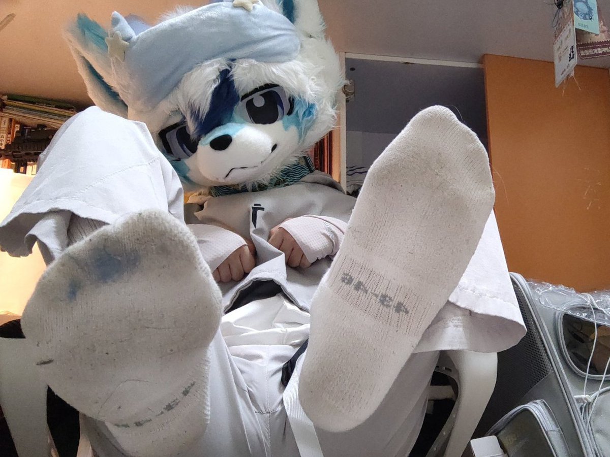 XOGO123456's tweet photo. 凑宝凑凑的

#furry #兽装 #白袜 https://t.co/U9aWNtsmWg