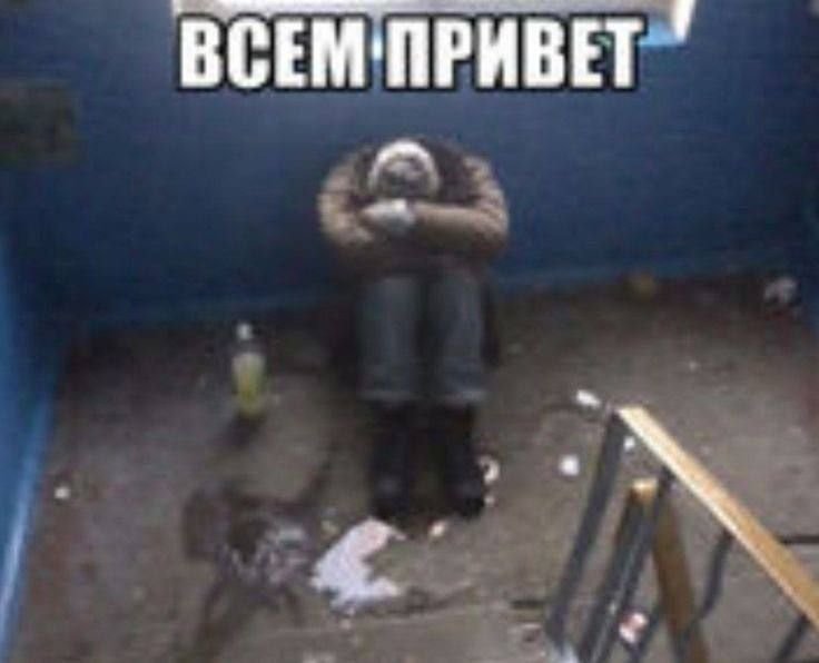 assol1e's tweet photo. че сюда писать если ничего в жизни не происходит https://t.co/BZ7TZYijk4