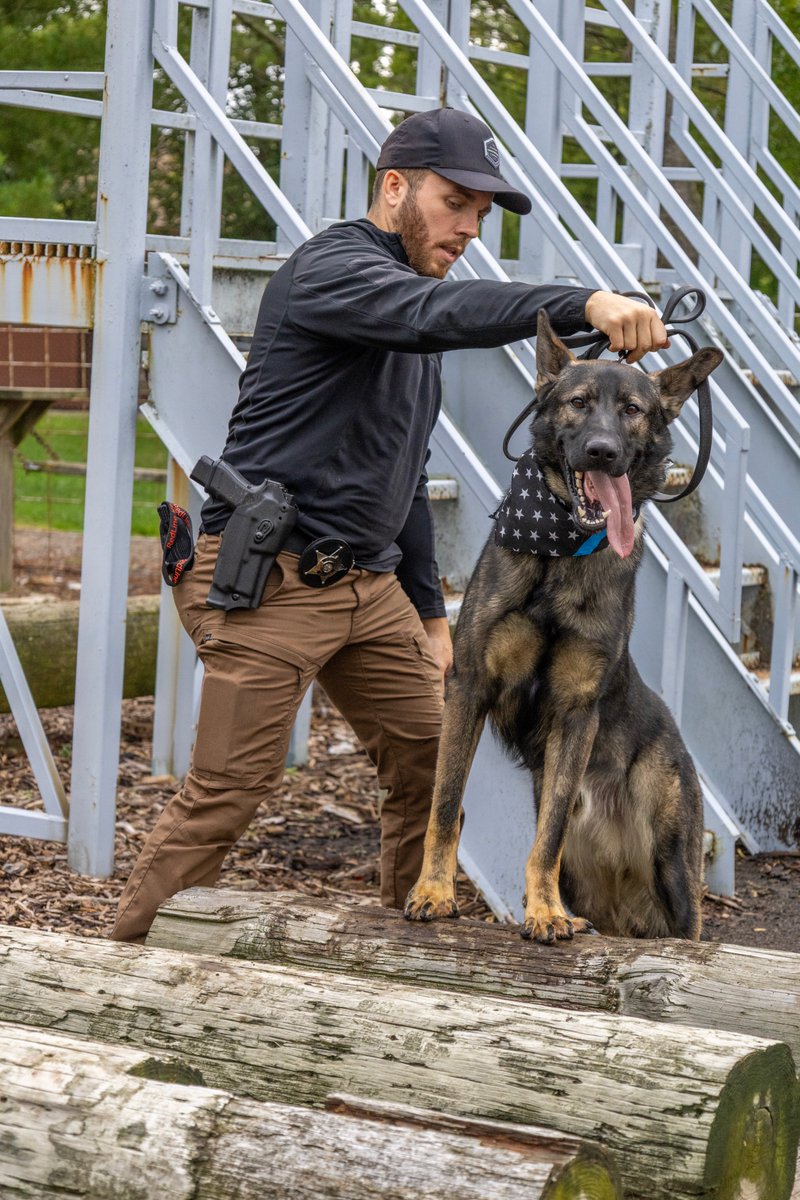 RSMTpolicefire's tweet photo. Join us in welcoming K9 Rex to the Rosemont Public Safety family!

K9 Rex and his handler, PSO Stack, are currently completing an eight-week K9 Academy, and both are doing great. Over the weekend, the team also had the honor of attending the K9 Memorial Ceremony in Libertyville.

We’re excited to follow their progress and look forward to seeing K9 Rex and PSO Stack serving together on patrol soon!