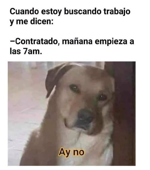 danielmalozu92's tweet photo. asi me paso jajajajaja https://t.co/oGUxgxAhcg