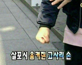 Reon_812's tweet photo. @Dino121_11 강이현. https://t.co/6qTYQMZUny