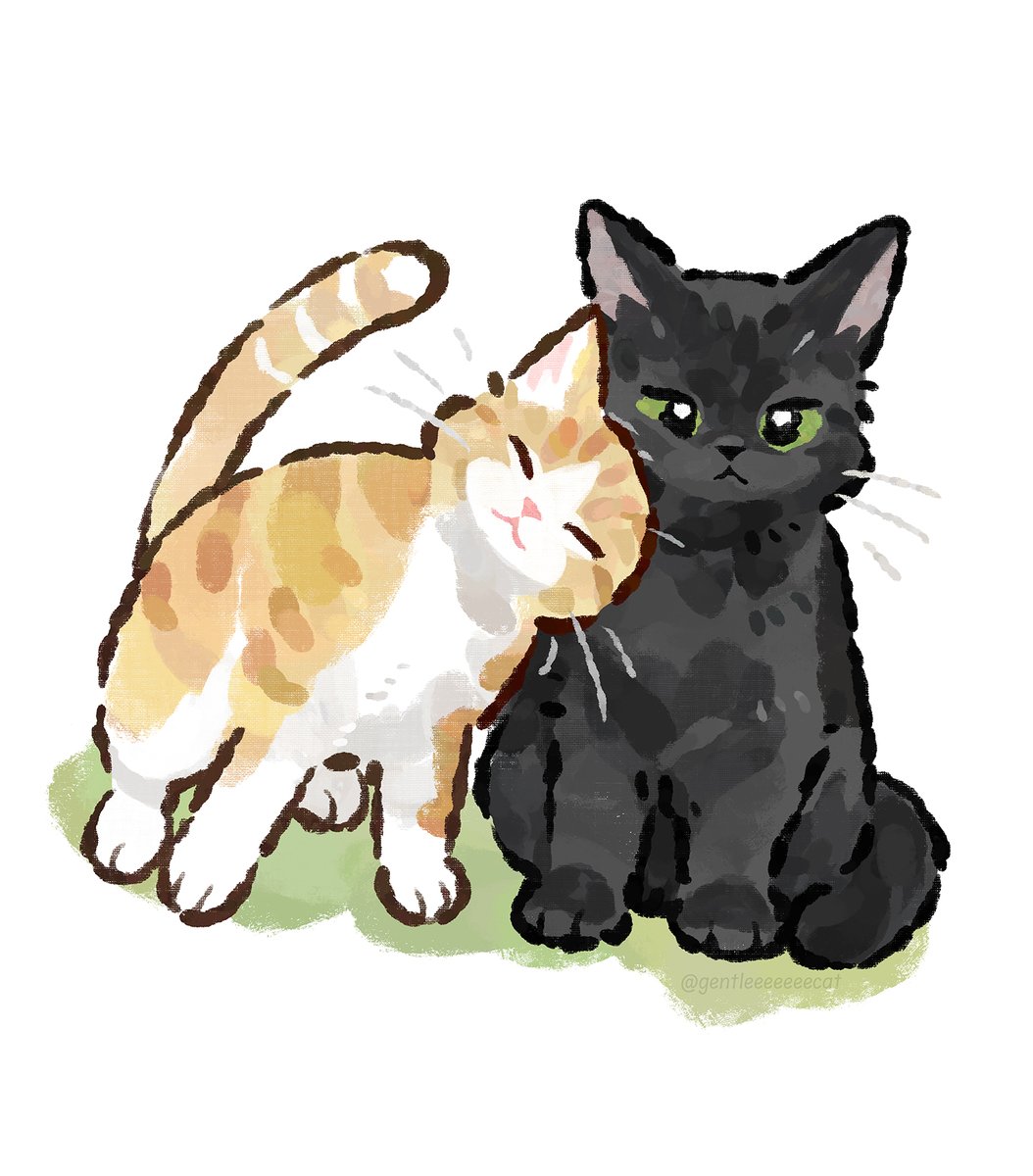 gentleeeeeeecat's tweet photo. https://t.co/6APcpQUtG7