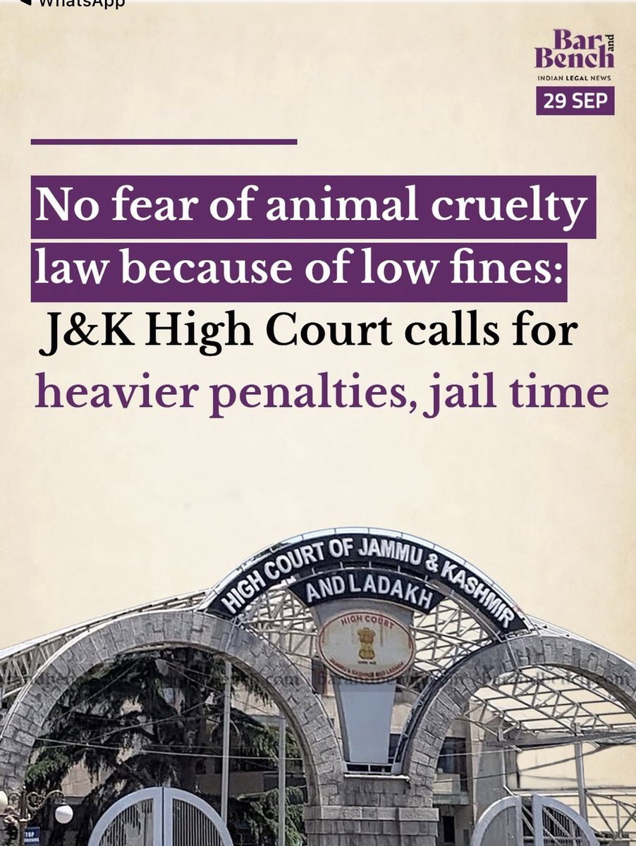 PunitaS44575106's tweet photo. Animal cruelty cannot be treated as a minor offence simply because the penalty is small.

The J&K High Court’s call for stronger penalties and jail time for animal cruelty sends an important message: when the law fails to deter cruelty, the voiceless continue to suffer.

Animals are sentient beings. Their pain, suffering and lives deserve meaningful legal protection—not token fines that can be treated as a mere cost of wrongdoing.

The law must protect those who cannot speak for themselves.
Cruelty must have consequences.

#AnimalRights #AnimalCruelty #JusticeForAnimals #AnimalWelfare #StopAnimalCruelty #LegalProtection #Voiceless #Compassion #JammuKashmirHighCourt #AnimalLaw #JusticeForTheVoiceless