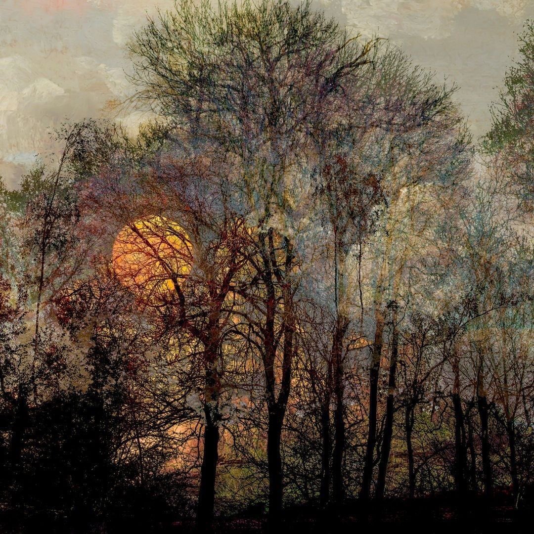 helen_warlow's tweet photo. Beautiful landscape photograph in a painterly style by 
Dutch visual artist 
Saskia Boelsums 
‘Moonrise’
@helen_warlow https://t.co/mY3TLCb1It