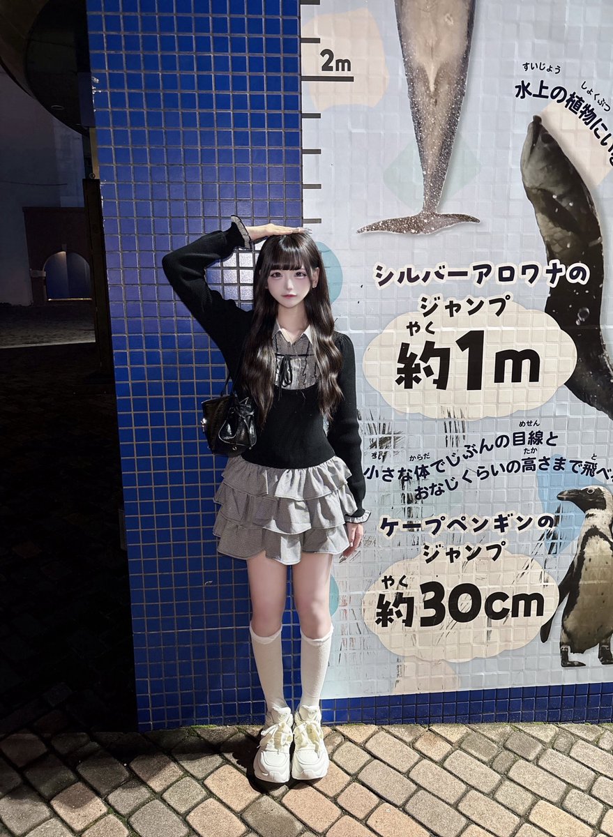 i____killyou's tweet photo. 飛べません https://t.co/U9oMNlZjrK