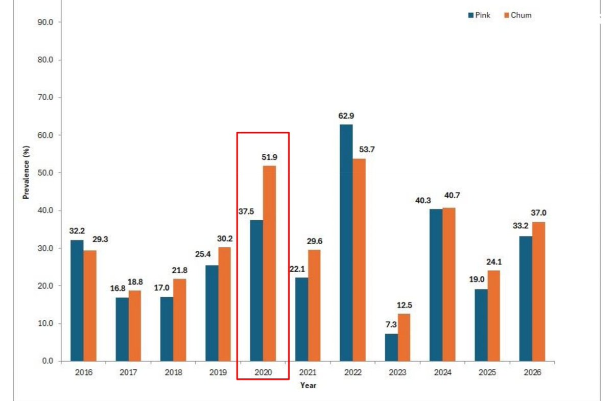 LanceStewardson's tweet photo. #sealice in the #Broughton Archipelago remain unchanged 4 years after #fishfarm removal.  Red line shows 2020 results when Alex Morton claimed "no farms = no lice".  Full report can be found here: https://t.co/iC6uQx3rL0 Stop the #20yearlie.  More peer reviewed #science is coming https://t.co/qrMbJRbNnJ