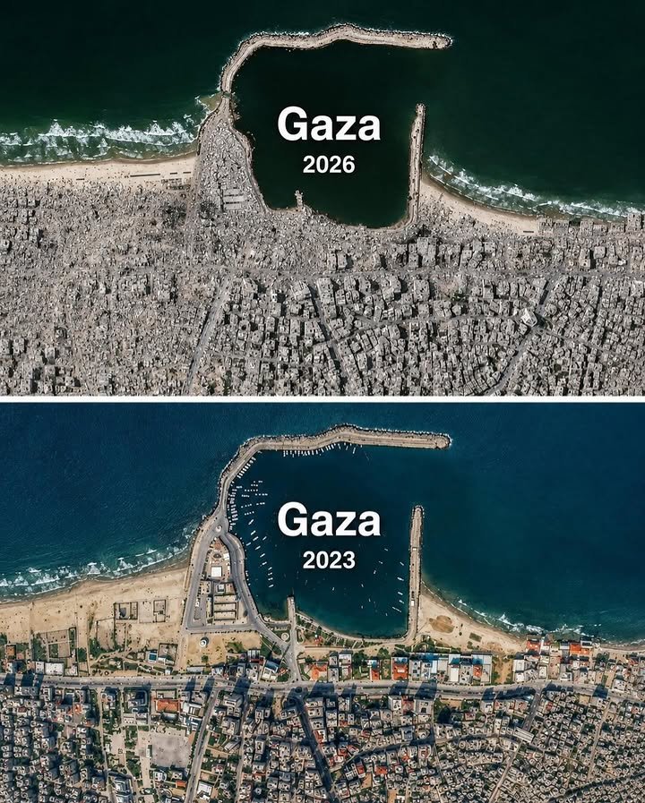 Timesofgaza tweet picture