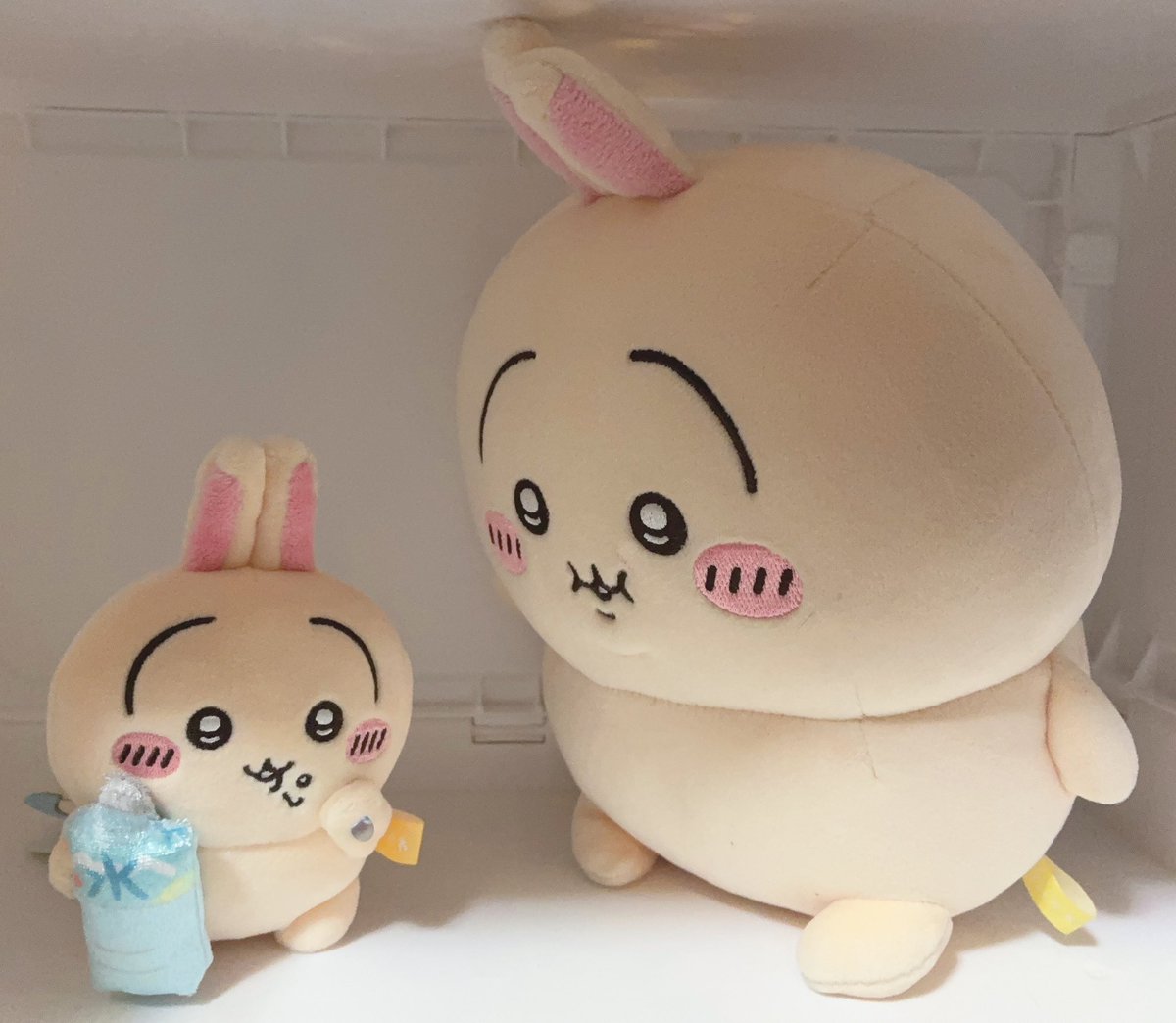 usagi_love04's tweet photo. 見過ぎよ https://t.co/7OXzpZrl3T