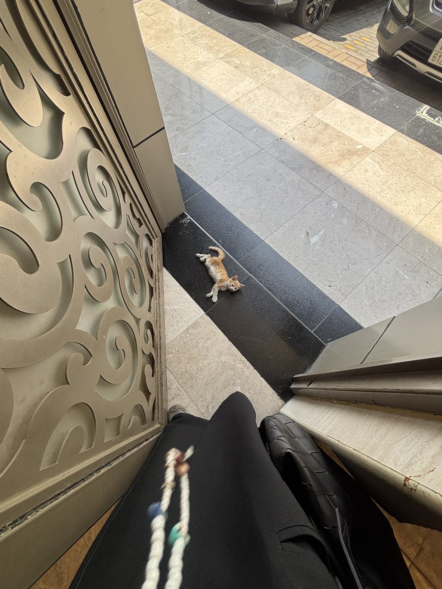 jjusst__'s tweet photo. اعرفكم على عسلي
قطو عشوائي 
يحرس باب العماره كل يوم
اذا رجعت من الدوام يجري يدخل بعبايتي 
اذا زعل علي يسوي نفسه مايشوفني
تعلقت فيه ثم في يوم غير متوقع قرر يرحل بلا وداع
جعله الحادث ذالتعلق المرضي https://t.co/q2XT9OAtIN