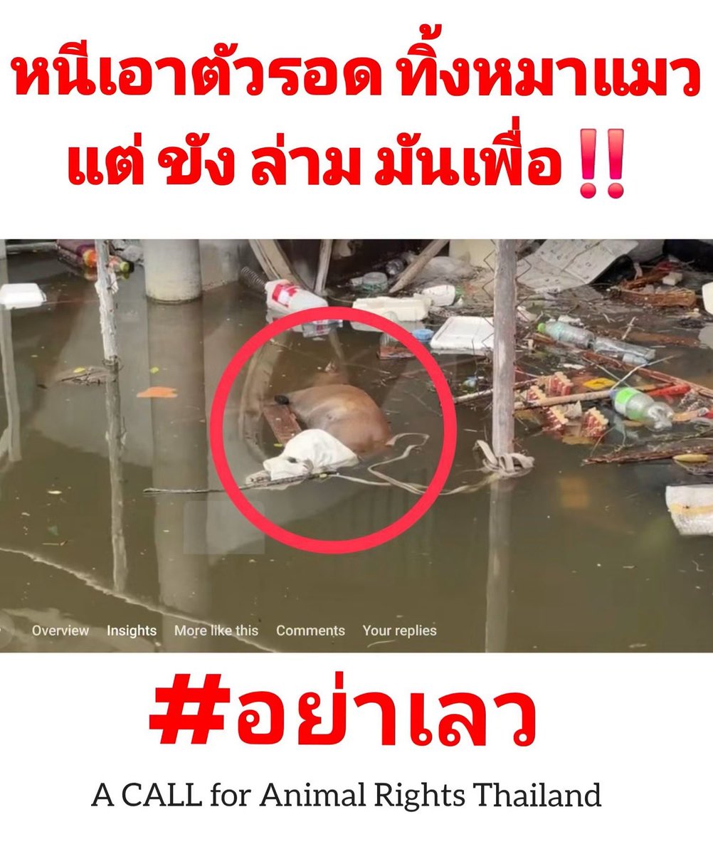 malimalineee's tweet photo. คาโซ่ที่ล่าม อีกเท่าไหร่ที่ลอยในกรง ขึ้นอืดคาบ้าน ถ้าคิดจะทิ้ง ก็ให้ทางมันเอาชีวิตรอด อย่าล่าม อย่าขัง อย่าเลว‼️

เลี้ยงแล้ว อย่าทิ้งกัน มันรักเรา มีแค่เรา ทำไมยังทิ้งกันลง 🙁 https://t.co/Qs0IXXYQlS