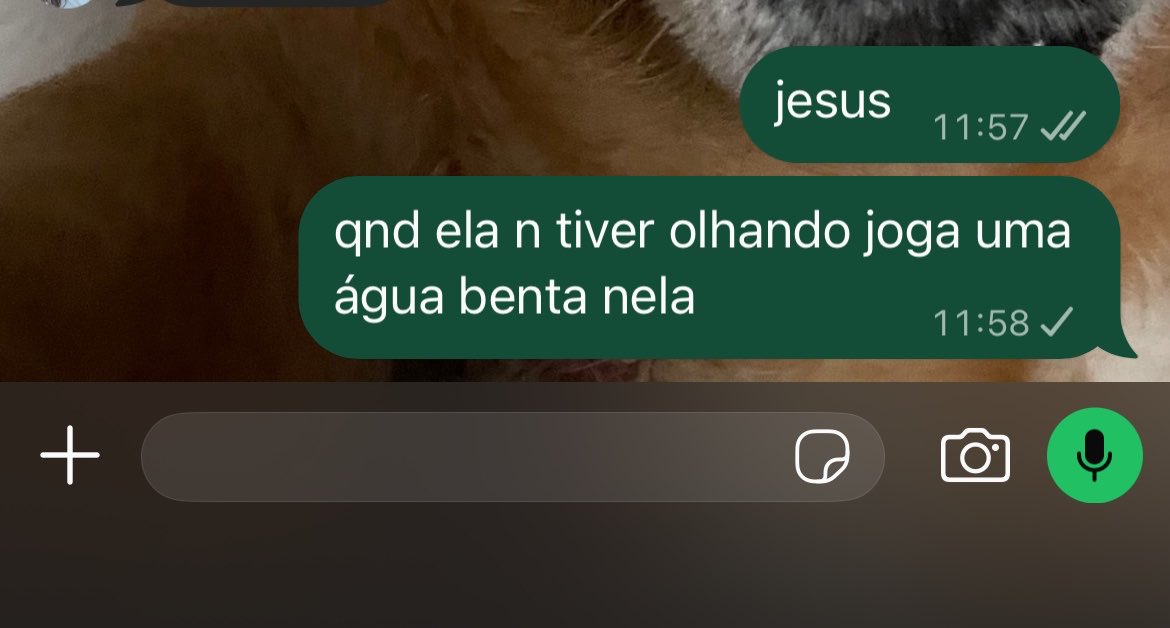 royalsbyxcx's tweet photo. é sobre ser agnóstico e ter repertório religioso https://t.co/VPpAguQP0Q