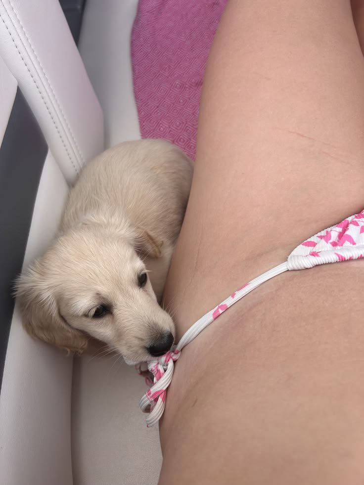 MercyMomoh1's tweet photo. My boy's always ready for action 🔥
Click on the link on my Bio to watch him creampie fuck me so hard 💦🥵 
@Pollypaws45 https://t.co/VTXqmAIH1O