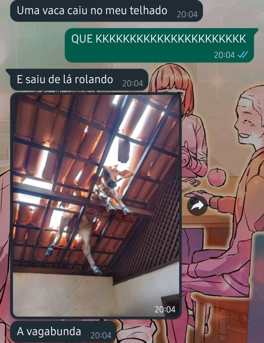 5gramasdememes's tweet photo. 😊 https://t.co/NEKjvjoBTu