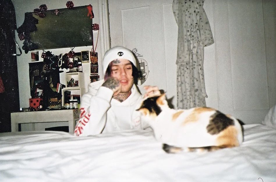 dailydoseofpeep's tweet photo. https://t.co/wEGnv8uijn