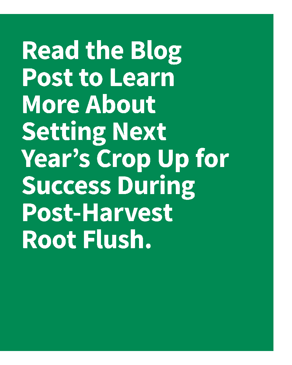 SumitomoBiostim's tweet photo. Harvest may have just finished, but the next season is already taking root. Give yourself a head start by prioritizing post-harvest root flush during this critical window for supporting nutrient uptake, soil biology, and next season’s crop potential.

Learn how Zicron® can support post-harvest root flush and help carry this season’s momentum into the next.

Read more: https://t.co/bkAo6nqwRO

#agriculture #biostimulants