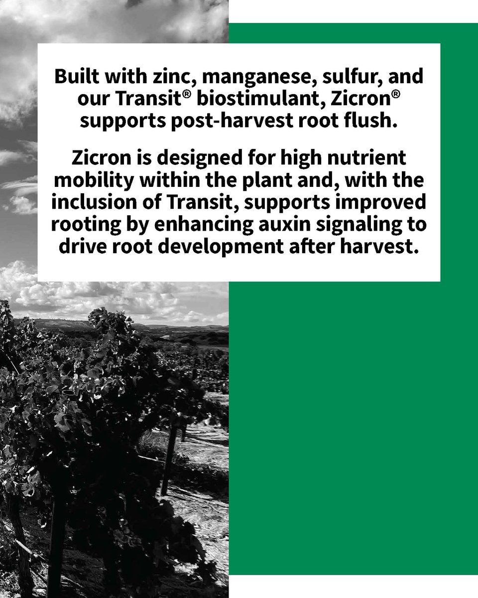 SumitomoBiostim's tweet photo. Harvest may have just finished, but the next season is already taking root. Give yourself a head start by prioritizing post-harvest root flush during this critical window for supporting nutrient uptake, soil biology, and next season’s crop potential.

Learn how Zicron® can support post-harvest root flush and help carry this season’s momentum into the next.

Read more: https://t.co/bkAo6nqwRO

#agriculture #biostimulants