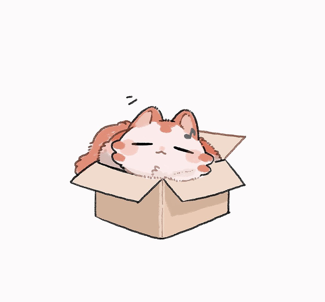 marron_4696's tweet photo. 箱好き？ https://t.co/5hUW5o3UwG