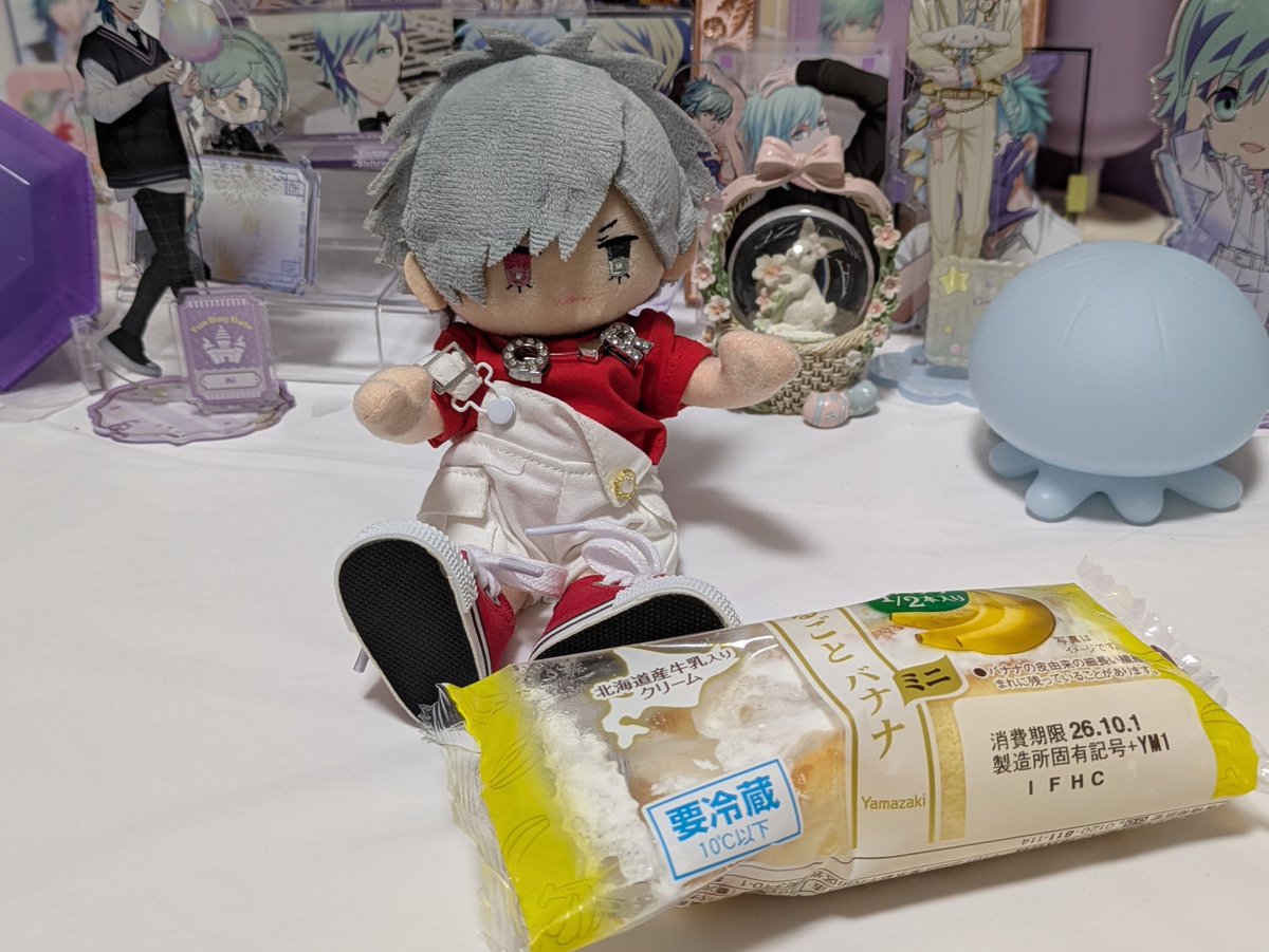 quartet_a1's tweet photo. そういえば運ばれた先 https://t.co/t45GtleHOB