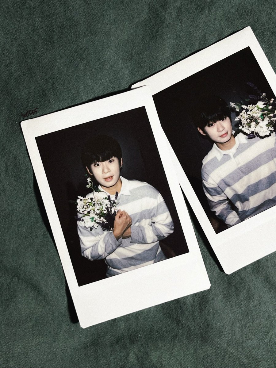 hxlfff's tweet photo. #파란_어둠으로_다이브_숨은_폴라를_찾을_수_있을까

자, 여기서 누가 꽃이지?
 ⤷ 수호, 채수호요! ˖ 𓈒യ 🐶  ༘

         ⠀:¨ ·.· ¨:⠀
⠀          `· . · 🌷
                  ⠀:¨ ·.· ¨:⠀
⠀                   `· . · 🤍 https://t.co/uIxY4QF9Ec