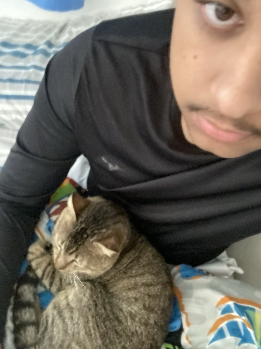 eimusubi's tweet photo. Lorde beerus ai ó https://t.co/FhZAzJWeZo