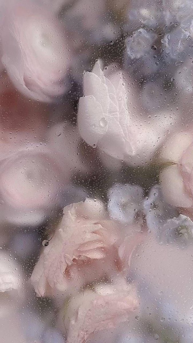 blackLily_spi's tweet photo. +⋆꙳　｡⭐︎ * ｡.
　｡.　 .　　　  ／
  ✮           +    ⭐︎
　　.　　　　　 ✮゜
　／　　𝙷𝚊𝚙𝚙𝚢 𝙱𝚒𝚛𝚝𝚑𝚍𝚊𝚢 𝚂𝚎𝚊_　✩⋆꙳
⭐︎．゜´

✩#せーあ生誕祭2026 
✮#おい聞けせーあ https://t.co/OexPa83QZh