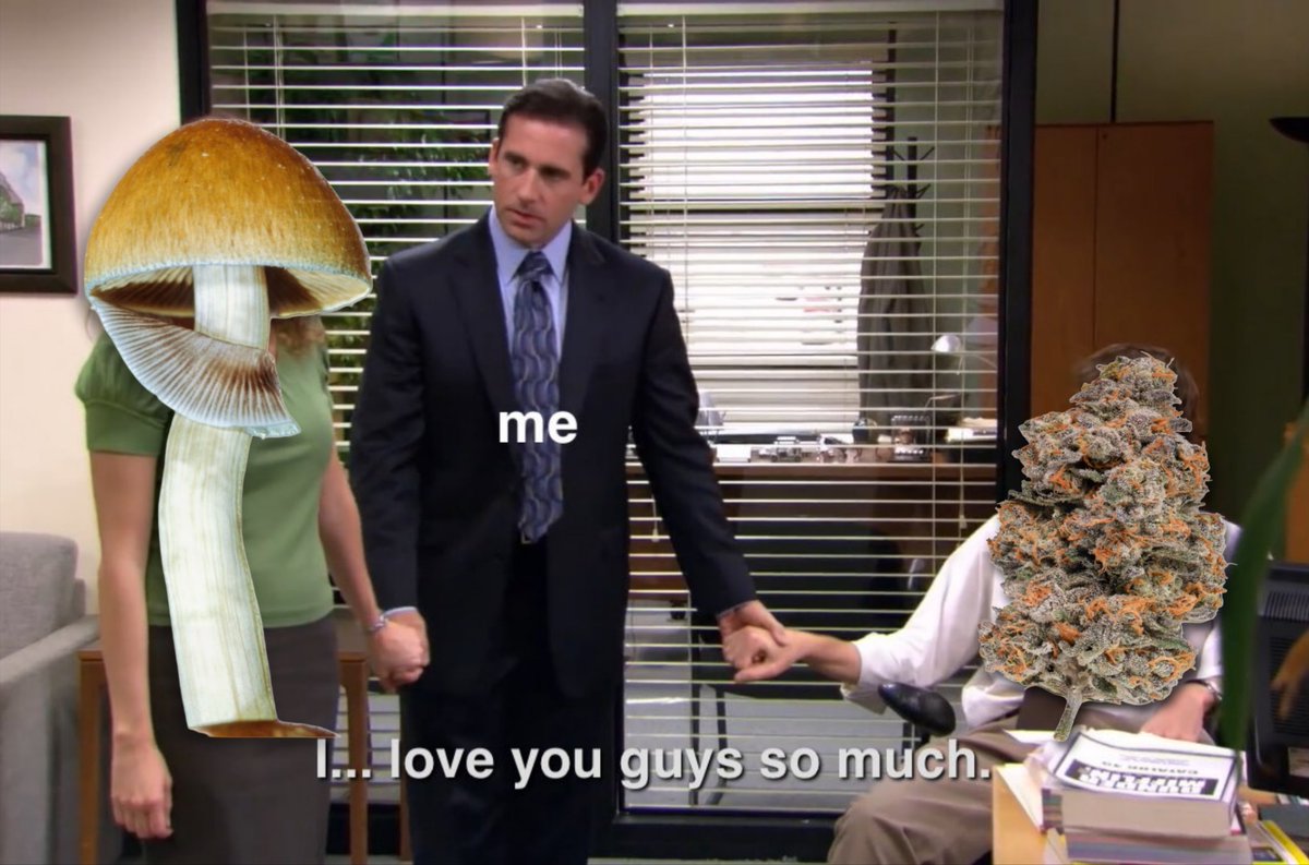 APsychedelics's tweet photo. I love you guys 💘 https://t.co/6VNRI6Zm7Z