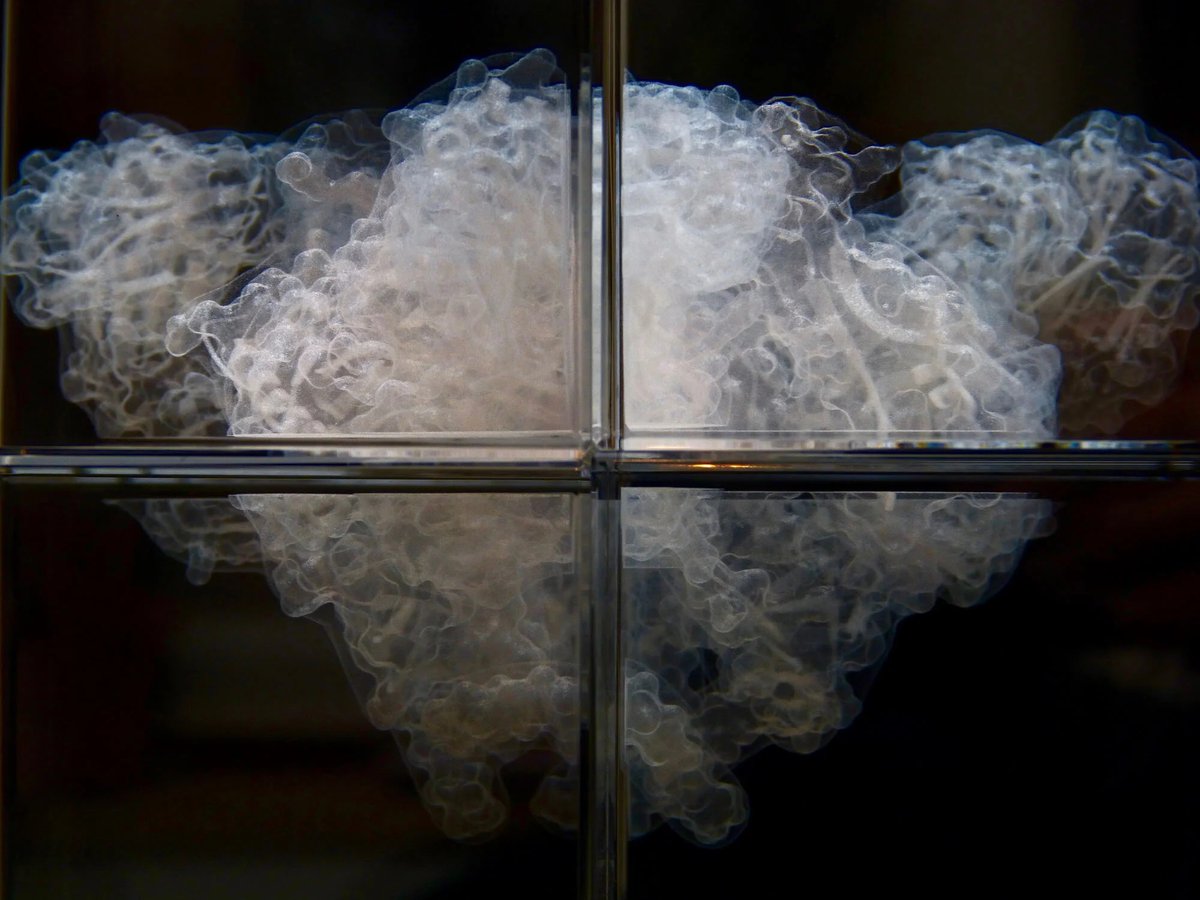 AestheticaMag's tweet photo. #MeetTheShortlist Aesthetica Art Prize 2026: Katharine Dowson
In 'A Window to a Future of an HIV Vaccine', Dowson depicts the virus' microscopic complexity in eight laser etched glass blocks.
At York Art Gallery until 15 November: https://t.co/BHbvkRgiJR https://t.co/QR6OdJe5gH