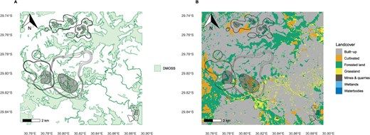 conphysjournal's tweet photo. How do African crowned eagles cope with rapid urbanisation?🦅

This #BioLogging study used GPS and accelerometery to show how energy expenditure varies across habitats, emphasising the need to preserve forests in urban planning.

Read it here ➡️ https://t.co/2KL7VKTjKr https://t.co/a0QiAmSrhs