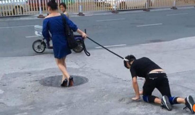 Lythong1111's tweet photo. @herritich @lyn49556 If you can't suffer go hang yourself, western dog  🤣🤣🤣Why pdf dog hate to much on loli ? https://t.co/vqINGgVBTI