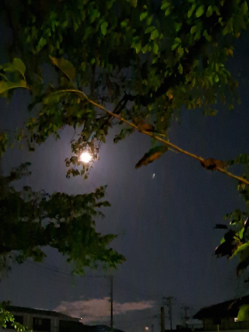akifummy's tweet photo. ハーベストムーン🌕
本当は２７日でしたが、私の町は２７日２８日は雨でした。ハーベストは私の認識では収穫祭。西田敏行さんのMCの番組で谷村新司さんの歌『ハーヴェスト』という主題歌が流れていたことを思い出します。 https://t.co/BPW8GJNaUn