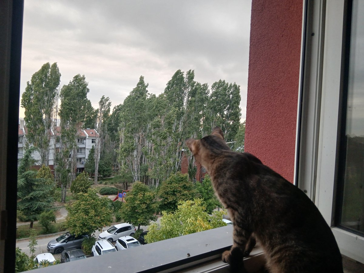 aptuculus's tweet photo. 3. kata ilk defa çıkıyo galiba çok şaşkın https://t.co/KPoh9Gonxg