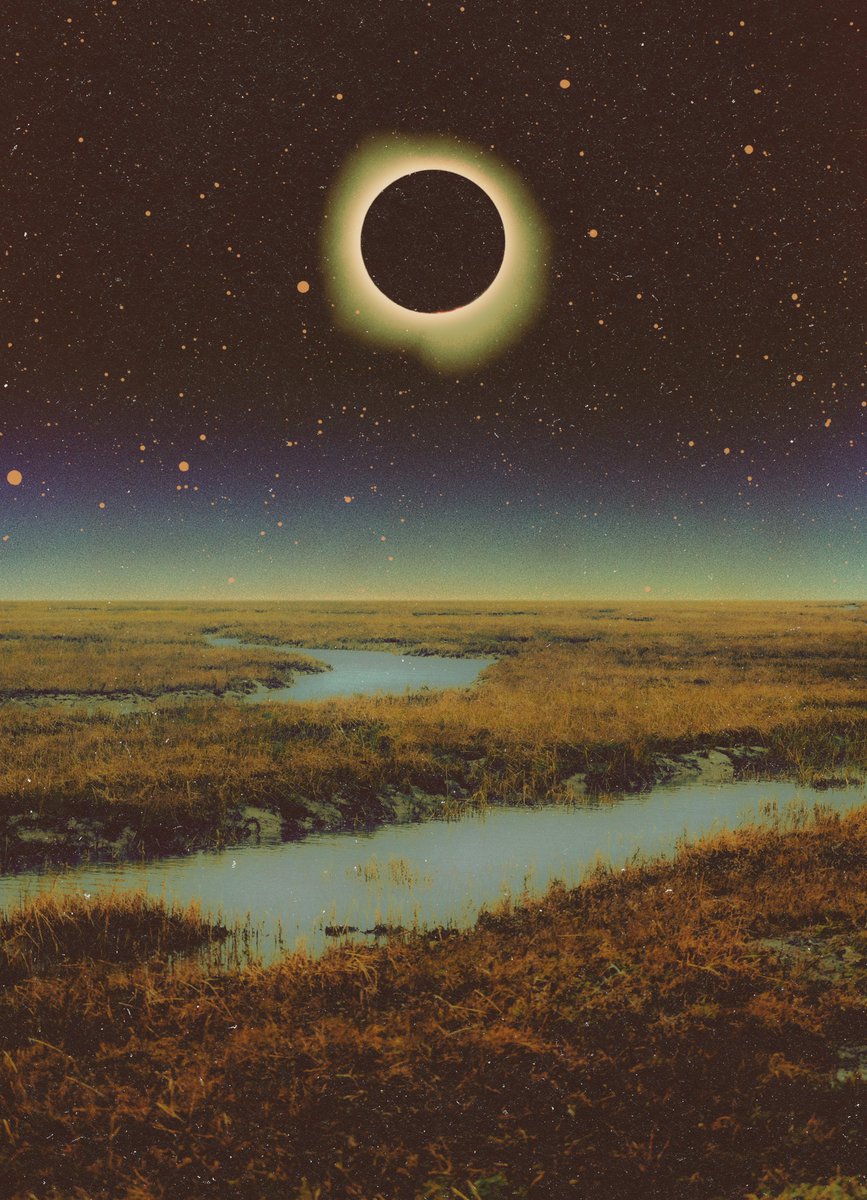 POSTWOOK's tweet photo. eclipse over the bog https://t.co/cxYjA0N3us