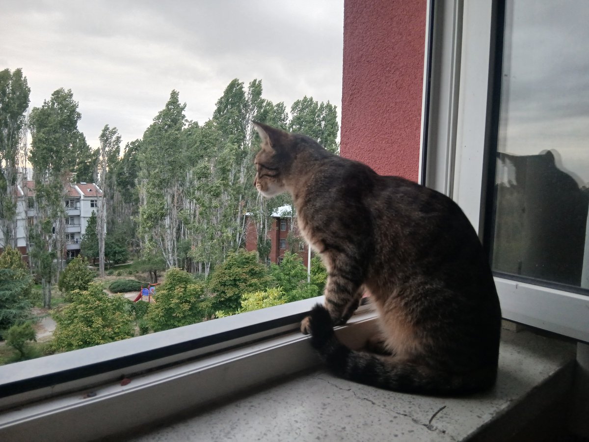 aptuculus's tweet photo. 3. kata ilk defa çıkıyo galiba çok şaşkın https://t.co/KPoh9Gonxg