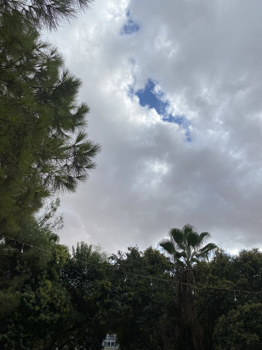 weirdosyr's tweet photo. لو يضل هالجو طول السنة ☹️🩷 https://t.co/8P5jt7CtgH
