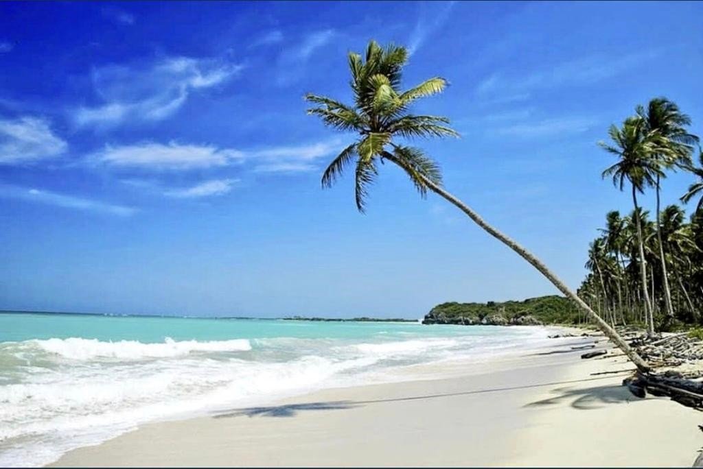 Socrataesk's tweet photo. @stoltdansker Det er virkelig pinligt at vi som land lader os diktere af hvad en bananrepublik som Somalia siger. Tag imod jeres beskidte lortemennesker eller vi bomber Mogadishu. Tænk hvad Hvide mennesker kunne gøre med det her land. Kæft et spild. https://t.co/homenpiGhT