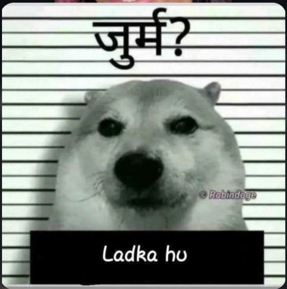 subhamxcoder tweet picture