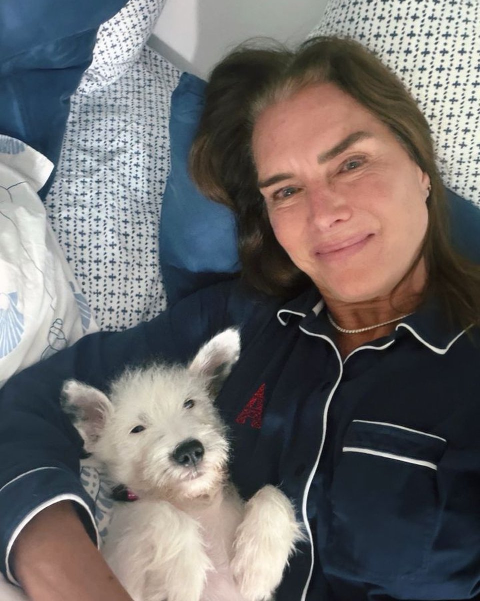 markolukac's tweet photo. Brooke Shields + spašeni Shippy 🐶 Prvih dana: miran kutak, rutina, bez gužve. Udomljavate? K-9 Professional · https://t.co/RTpcrrgcRZ #psi #Shippy #udomljavanje https://t.co/XJoMUPRXUS