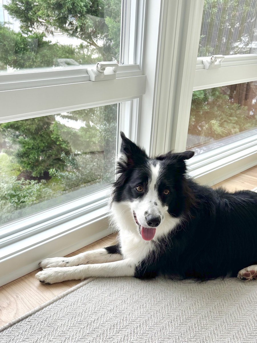 AnnSBarry1's tweet photo. Happy #TongueoutTuesday  frens! https://t.co/zJHSRBUnAK