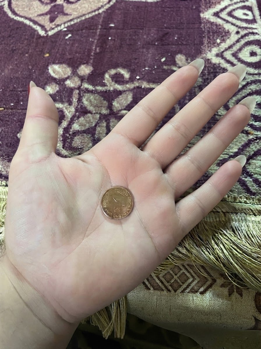 doctor7372's tweet photo. قولو لايطاليا مصر جيالكم اول مره اشوفو واخداه باقي فالمواصلات 😅 https://t.co/lfALp6rJoW