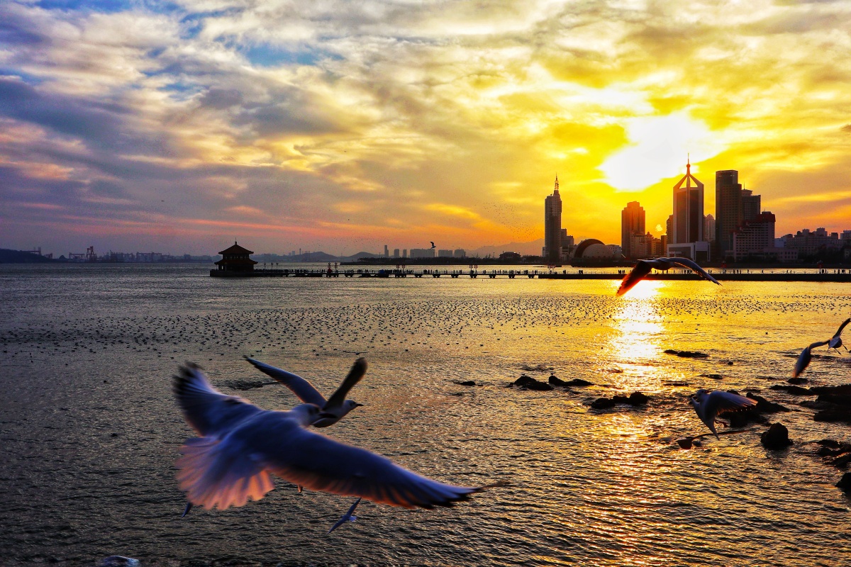 antho_gert__fae's tweet photo. [The night breeze softly caresses the coastal pier, with a seagull gliding past under the warm lamplight, and faint warm air lingering around.]， https://t.co/eqSEpiwqoC