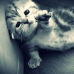Photo by Under the influence of marijuana (@thatsopponsight)