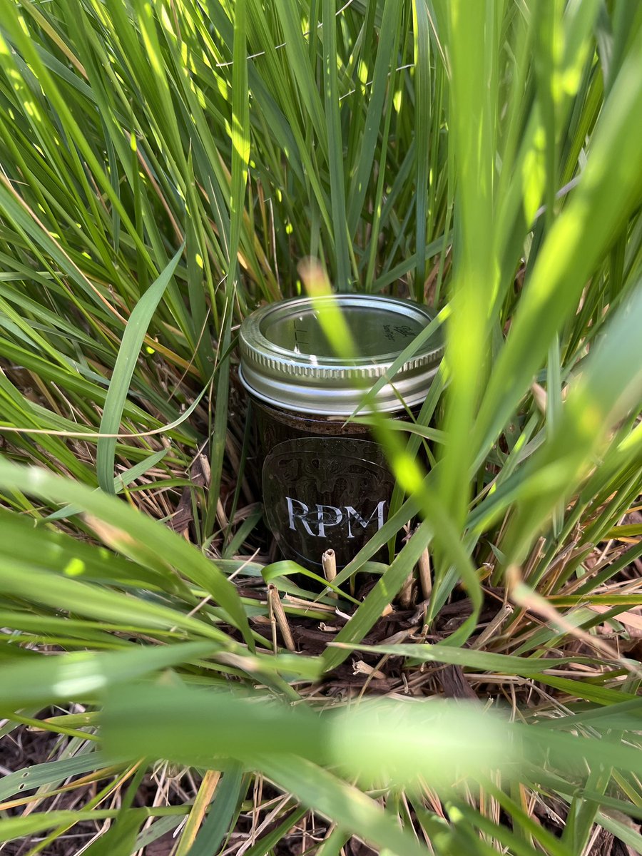 tiaraltt's tweet photo. FLU SEASON IS HERE! 🌿 I HAVE ELDERBERRY SYRUP JARS AVAILABLE 🌿 

15% off for any new customers, dm me for the discount code.

 ( https://t.co/imCqWevNoA ) https://t.co/3XiQjmEa4X