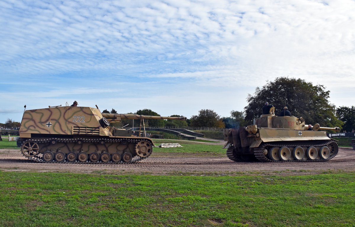Burntime0101's tweet photo. A couple of wild animals in the arena with the Nashorn joining Tiger 131 at Tiger day last weekend for #TankTuesday https://t.co/0xBj8pzlVN